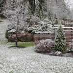 Der Kälteeinbruch steht bevor, schützen Sie Ihre Pflanzen!