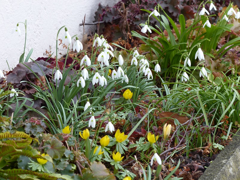 Gewinnendes Duo in Gelb und Weiß