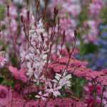 Stil und Inspiration